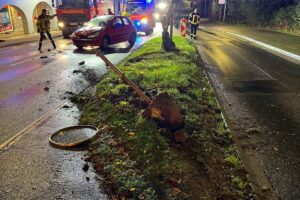 Verkehrsunfall mit schwerem Fahrzeugschaden, Polizei und Feuerwehr an der Unfallstelle sichtbar.