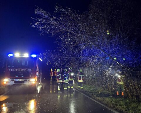 Feuerwehr entfernt Baum mit Motorkettensäge von Fahrbahn nach Notruf in Reichenau.