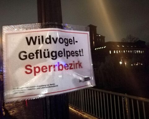 Warnschild zur Geflügelpest: Schutzmaßnahmen für Geflügel in Wolfsburg nach Virusnachweis.