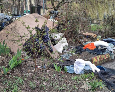 Eine Grafik, die Müll in der Natur zeigt, umweltfreundliche Initiativen und engagierte Bürger darstellt.