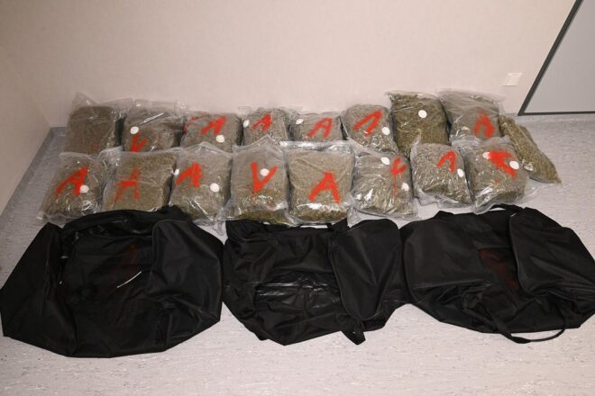 Polizei findet 35 Kilogramm Cannabis bei Unfallaufnahme in Walsrode