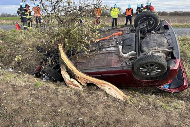 Schwerer Baumunfall bei Dingelbe verursacht Totalschaden