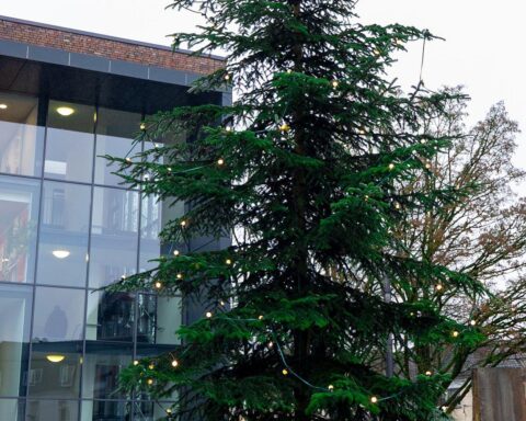 Ein festlich geschmückter Weihnachtsbaum vor dem Solinger Rathaus mit leuchtenden Lichtern.