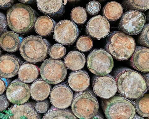 Gewerkschaft fordert höhere Löhne für 18.000 Beschäftigte in Niedersachsen, Tarifverhandlung ohne Arbeitgeber-Angebot.