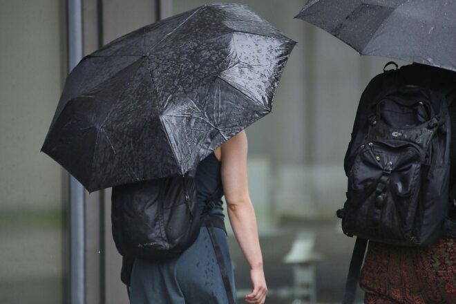 Wetterbericht für Mecklenburg-Vorpommern (11.11.2025)