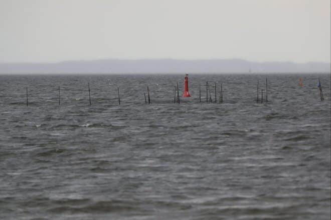 Wetterbericht für Mecklenburg-Vorpommern (25.11.2025)