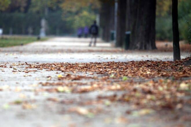 Wetterbericht für Rheinland-Pfalz/Saarland (11.11.2025)
