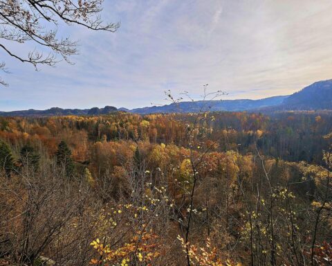 Milde Herbstlandschaft mit Nebel und Wolken in der Sächsischen Schweiz, symbolisiert ruhiges Wetter.