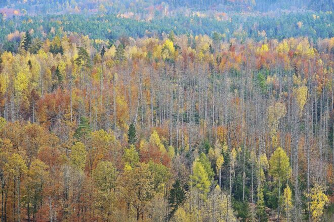 Wetterbericht für Sachsen (28.11.2025)