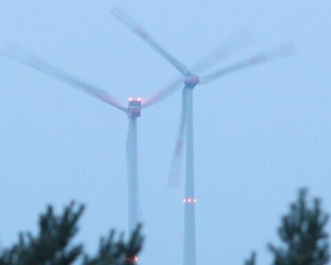 Windräder im Offshore-Windpark Butendiek, nahe dem Europäischen Vogelschutzgebiet.