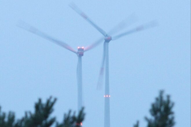 Windpark Butendiek: NABU-Klage gegen Naturschutzbehörde scheitert