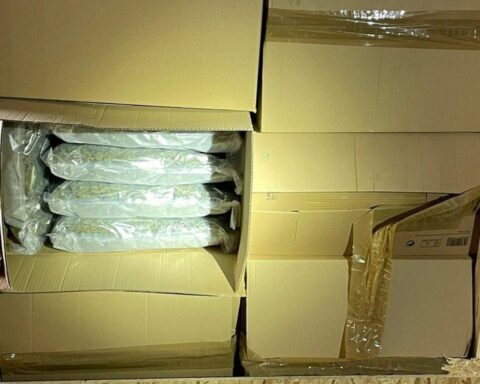 Zollbeamte entdecken verstecktes Marihuana in Holzkisten, insgesamt 110 Kilogramm sichergestellt.
