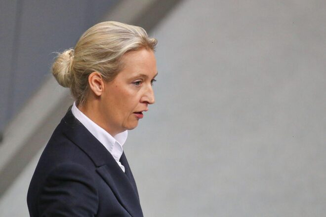 CDU und Grüne kritisieren Weidel für Verfassungsschutz-Aussage