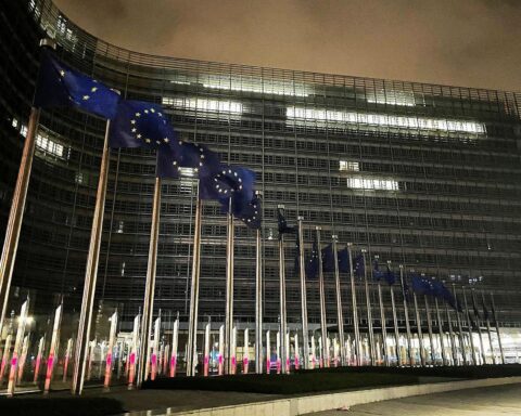 EU-Fahnen wehen im Wind, Symbol für gemeinsame Werte und Herausforderungen in Europa.