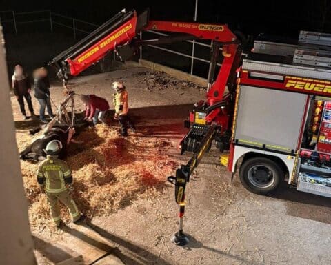 Rettung eines gestürzten Pferdes durch Feuerwehr mit Kran und Hebegeschirr auf vereistem Hof.