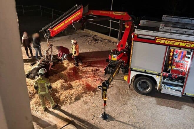 Feuerwehr hilft gestürztem Pferd in Menden auf die Beine