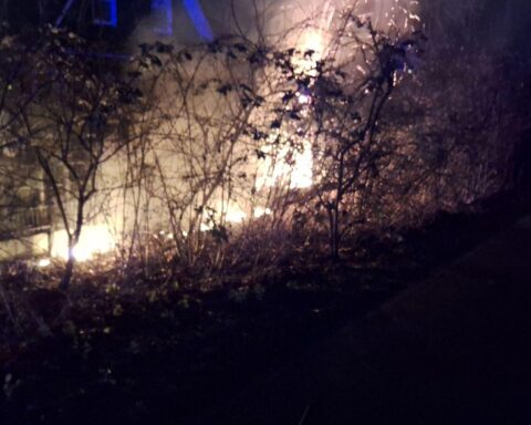 Feuerwehr löscht brennende Hecke bei minus Temperaturen, Einsatzkräfte im Kochen, Szene nachts.