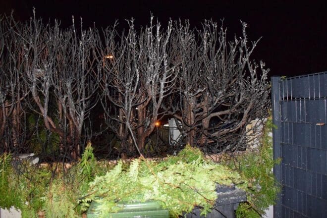 Feuerwerk löst Heckenbrand in Alfeld aus
