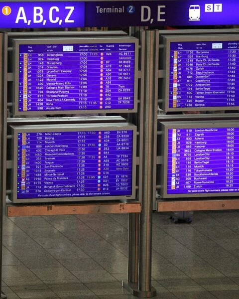 Frau vor Informationsschild am Flughafen Frankfurt, symbolisiert Zollkontrolle und Diamantenschmuggel.