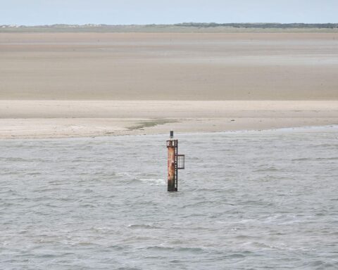 Dalbe in der Nordsee: Schützenswerte Natur und bestehende Gasförderungspläne gefährden das Ökosystem.