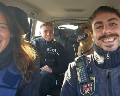 Ein Hund sitzt brav im Polizeistreifenwagen nach erfolgreicher Rettung auf der Autobahn.