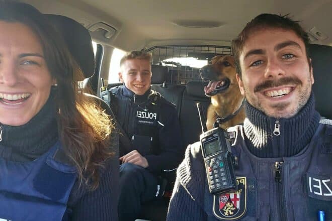Hund auf der Autobahn BAB 61 eingefangen