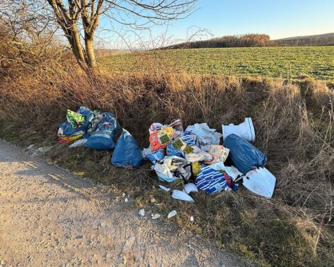 Illegale Müllentsorgung in der Natur, Polizei ermittelt, Umweltverschmutzung als Problem.