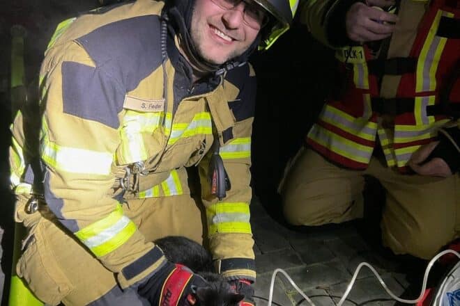 Kellerbrand in Alpen – Feuerwehr rettet Katze