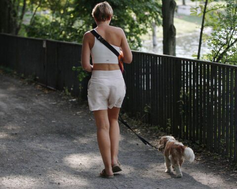 Eine Frau geht mit einem Hund spazieren, symbolisiert Hundesteuererhöhung in Köln.