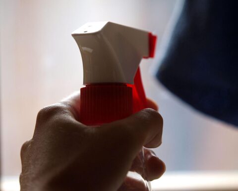 Haushaltshilfe beim Fensterputzen: Unterstützung für über vier Millionen deutsche Haushalte, oft unangemeldet.