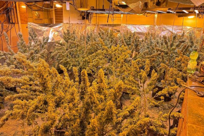Polizei entdeckt große Cannabisplantage in ehemaliger Gaststätte in Welver