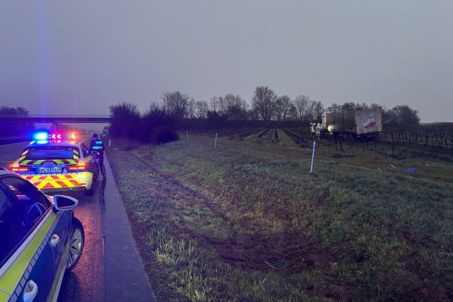 Sattelzug verunglückt im Wingert bei Großniedesheim