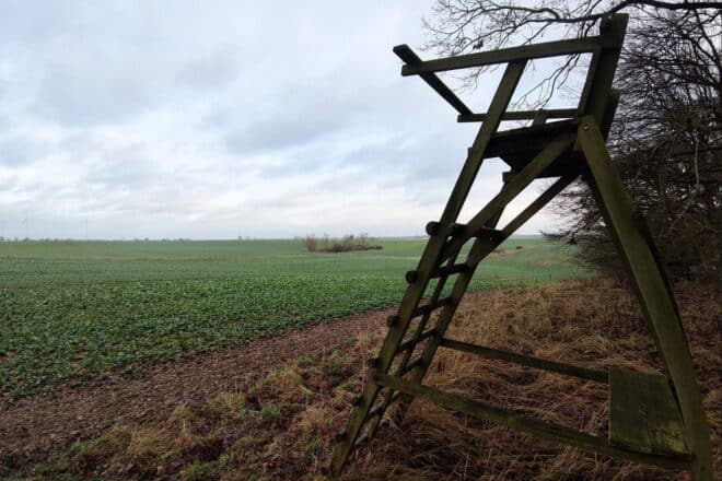 Schleswig-Holstein sieht sich für neues Wolfsmanagement gerüstet