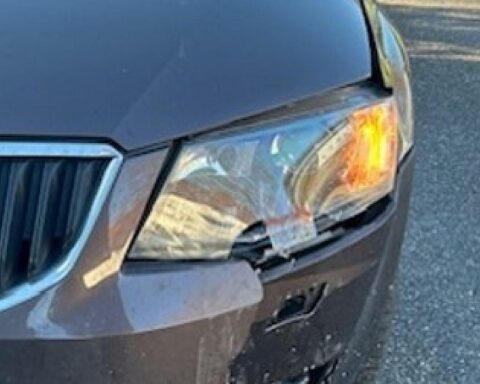 Auto an beschädigtem Verkehrszeichen in Edenkoben, Polizeimeldung über Unfallursache.