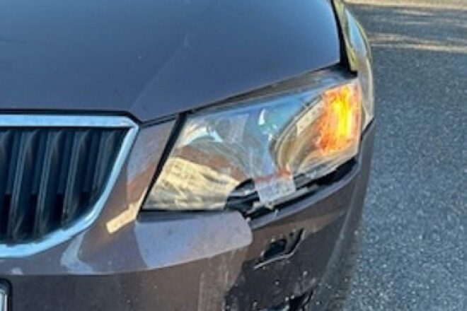 Sekundenschlaf führt zu Unfall in Edenkoben