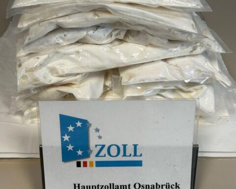 Zollbeamte durchsuchen Fahrzeug, entdeckt Drogenpakete, Festnahme der Fahrerin, Hund im Einsatz.