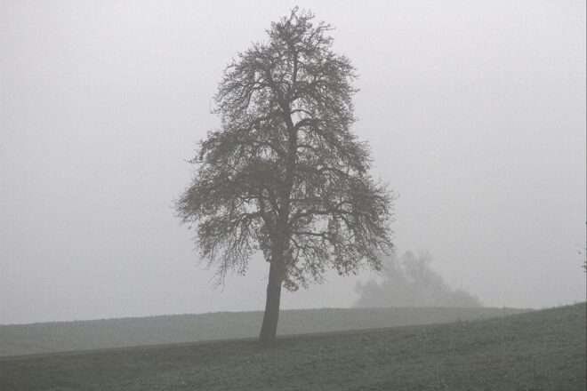 Wetterbericht für Baden-Württemberg (22.12.2025)