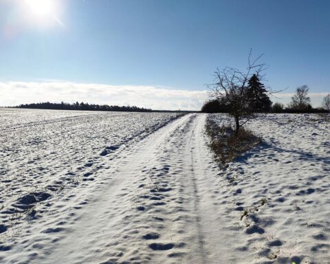 Winterliche Landschaft mit Schnee, bedecktem Himmel und frostigen Temperaturen in Bayern.