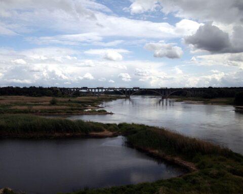 Eine kalte Winterlandschaft am Fluss Oder, mit klaren Himmel und frostigen Temperaturen.