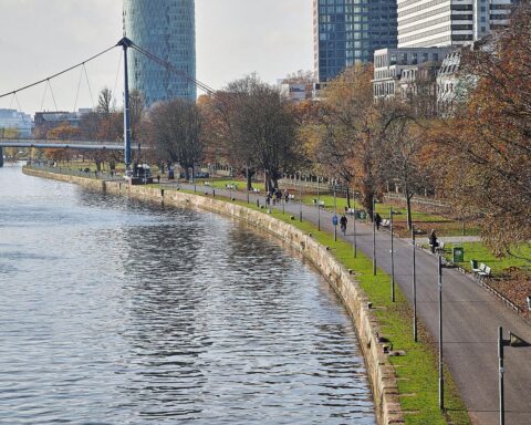Graue Parklandschaft in Frankfurt, milder Samstag mit Nebel und wechselnden Wolken.