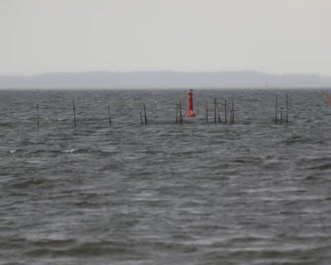 Bedeckter, nebliger Tag am Stettiner Haff mit kühlen Temperaturen und vereinzelten Lichtblicken.