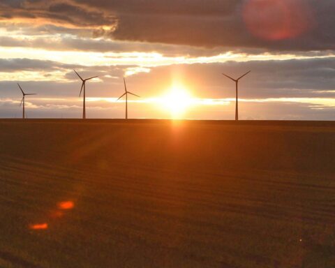Windräder vor sonnigem Himmel, Zeichen für windige, milde Wetterlage in Sachsen.