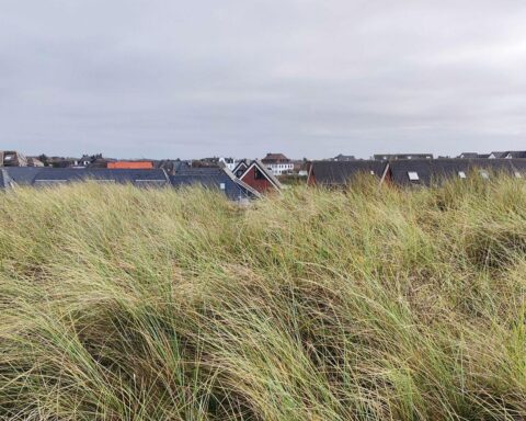 Häuser auf Sylt, winterliche Atmosphäre, kühles Wetter, trockene Bedingungen, charmante Küstenlandschaft.