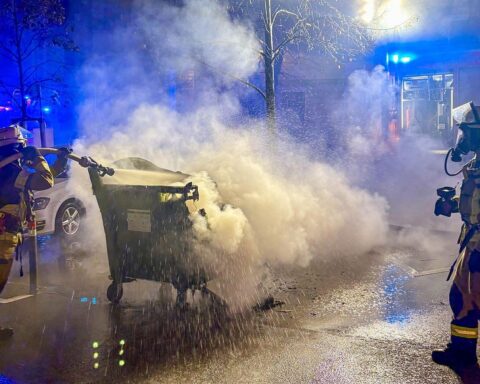 Brand von Mülltonnen in Stuttgart-West, Feuerwehr löscht, Vegetation gefährdet, Polizei ermittelt.