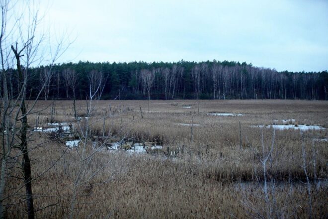 34 Millionen Euro für Moor-Renaturierung in der Region Hannover