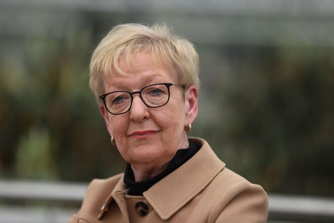 Ex-Nato-Strategin fordert gemeinsame EU-Handlungslinie zu Grönland