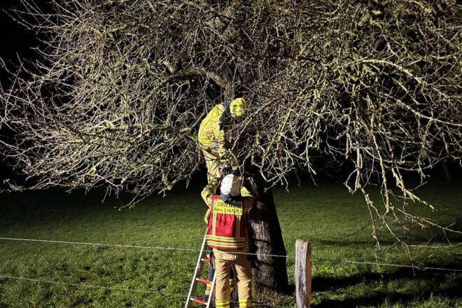Feuerwehr löscht brennenden Baum in Alpen zum Jahreswechsel