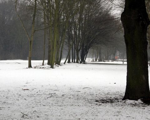 Schneebedeckte Landschaft mit Bäumen, Warnhinweis vor Waldspaziergängen und gefrorenen Gewässern.