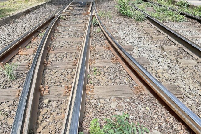 Schwan auf Bahnstrecke bei Bad Kleinen löst Zugausfälle aus
