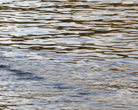 Warmes Grundwasser in Niedersachsen: Anstieg der Temperaturen, Auswirkungen auf Ökosystem und Umwelt.
